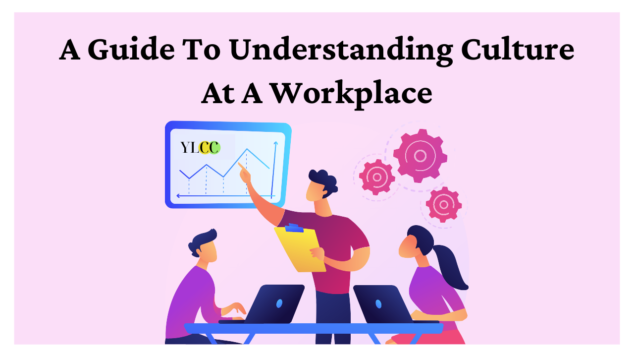 A Guide To Understanding Culture At A Workplace - YLCC